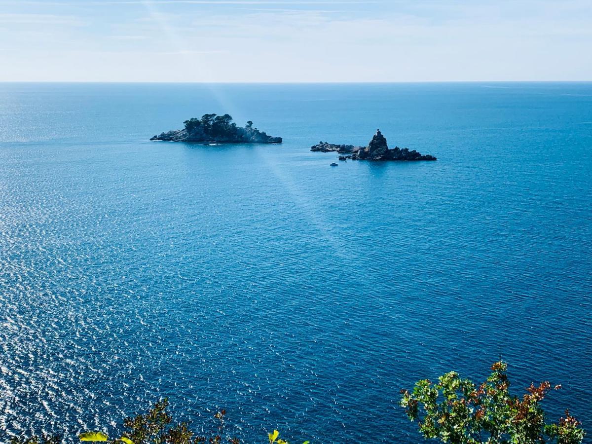 Best View Apartment Petrovac Exterior foto