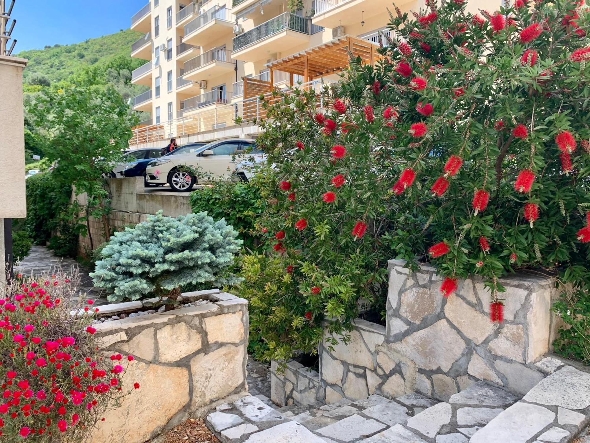 Best View Apartment Petrovac Exterior foto